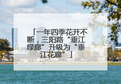 一年四季花开不断，三阳路“垂江绿廊”升级为“垂江花廊”