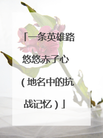 一条英雄路 悠悠赤子心（地名中的抗战记忆）