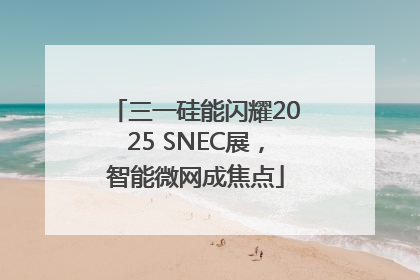 三一硅能闪耀2025 SNEC展，智能微网成焦点