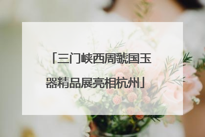 三门峡西周虢国玉器精品展亮相杭州