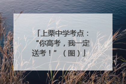 上栗中学考点：“你高考，我一定送考！”（图）