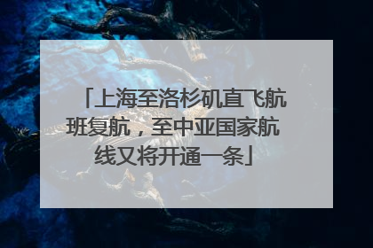 上海至洛杉矶直飞航班复航，至中亚国家航线又将开通一条