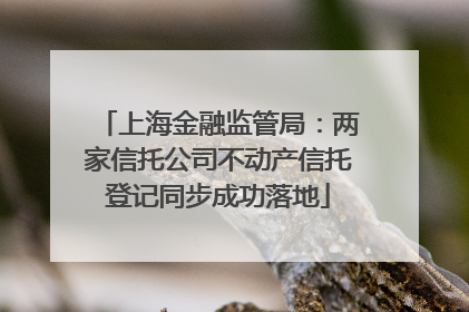 上海金融监管局：两家信托公司不动产信托登记同步成功落地