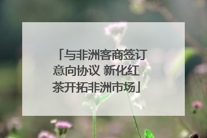 与非洲客商签订意向协议 新化红茶开拓非洲市场