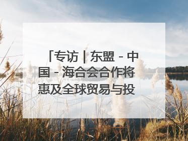 专访｜东盟－中国－海合会合作将惠及全球贸易与投资——访马来西亚亚太“一带一路”共策会高级研究员本恩·纳戈拉