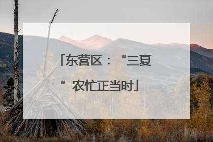 东营区：“三夏”农忙正当时