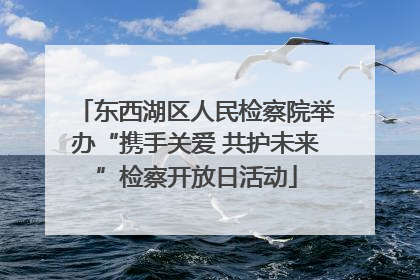 东西湖区人民检察院举办“携手关爱 共护未来”检察开放日活动