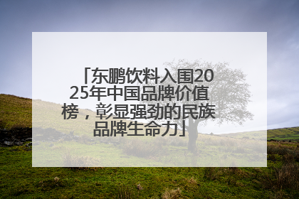 东鹏饮料入围2025年中国品牌价值榜，彰显强劲的民族品牌生命力