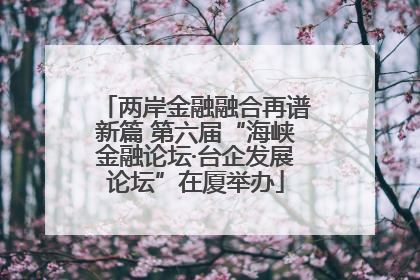 两岸金融融合再谱新篇 第六届“海峡金融论坛·台企发展论坛”在厦举办