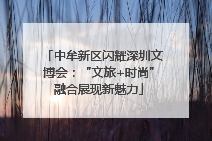 中牟新区闪耀深圳文博会：“文旅+时尚”融合展现新魅力