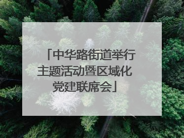 中华路街道举行主题活动暨区域化党建联席会