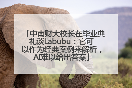 中南财大校长在毕业典礼谈Labubu：它可以作为经典案例来解析，AI难以给出答案