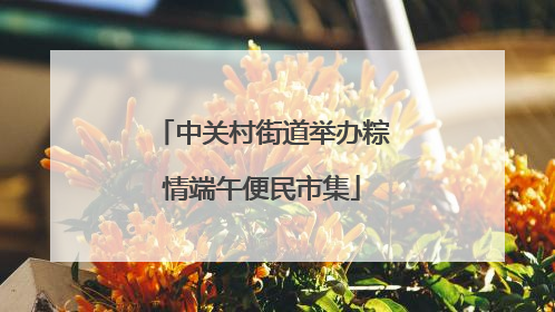 中关村街道举办粽情端午便民市集