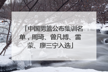 中国男篮公布集训名单，周琦、曾凡博、雷蒙、廖三宁入选