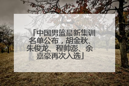 中国男篮最新集训名单公布，胡金秋、朱俊龙、程帅澎、余嘉豪再次入选