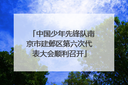 中国少年先锋队南京市建邺区第六次代表大会顺利召开