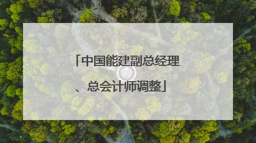 中国能建副总经理、总会计师调整
