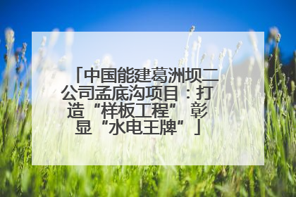 中国能建葛洲坝二公司孟底沟项目：打造“样板工程” 彰显“水电王牌”
