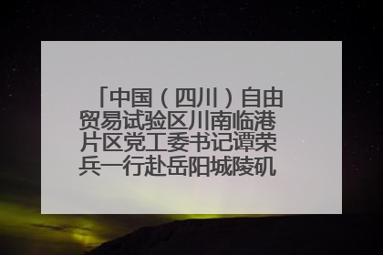 中国（四川）自由贸易试验区川南临港片区党工委书记谭荣兵一行赴岳阳城陵矶综保区考察