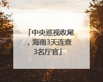 中央巡视收尾，海南3天连查3名厅官