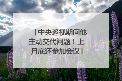 中央巡视期间他主动交代问题！上月底还参加会议