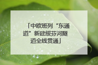 中欧班列“东通道”新建绥芬河隧道全线贯通