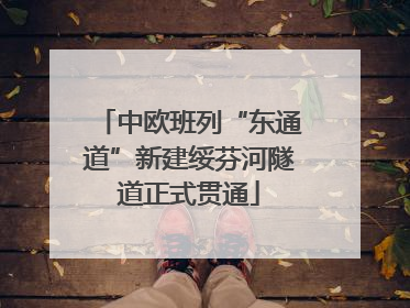 中欧班列“东通道”新建绥芬河隧道正式贯通