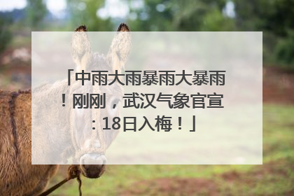 中雨大雨暴雨大暴雨！刚刚，武汉气象官宣：18日入梅！