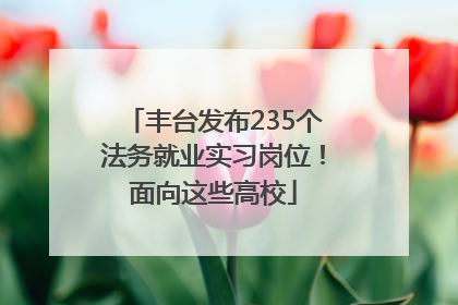 丰台发布235个法务就业实习岗位！面向这些高校