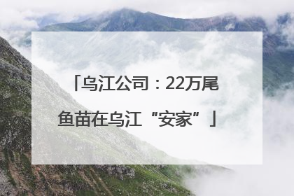 乌江公司：22万尾鱼苗在乌江“安家”