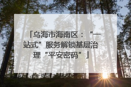 乌海市海南区：“一站式”服务解锁基层治理“平安密码”