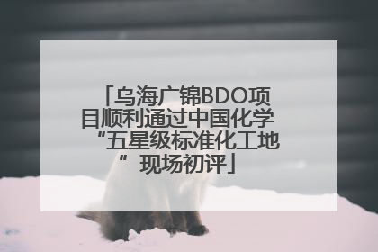 乌海广锦BDO项目顺利通过中国化学“五星级标准化工地”现场初评