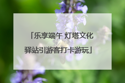 乐享端午 灯塔文化驿站引游客打卡游玩