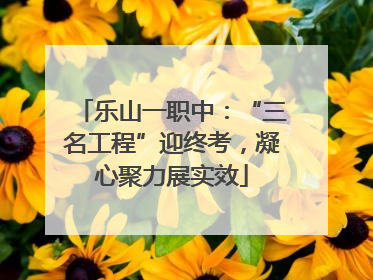 乐山一职中：“三名工程”迎终考，凝心聚力展实效