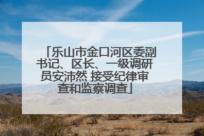 乐山市金口河区委副书记、区长、一级调研员安沛然 接受纪律审查和监察调查