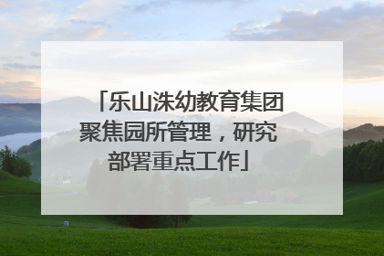 乐山洙幼教育集团聚焦园所管理，研究部署重点工作