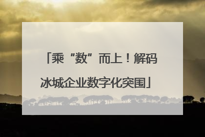 乘“数”而上！解码冰城企业数字化突围