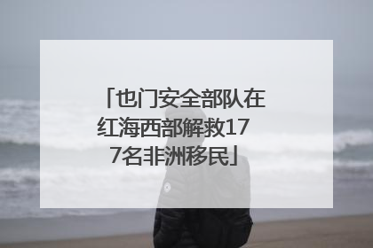 也门安全部队在红海西部解救177名非洲移民