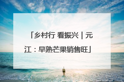 乡村行 看振兴｜元江：早熟芒果销售旺