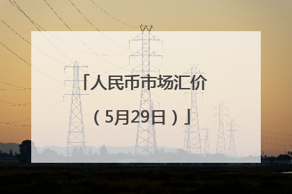 人民币市场汇价（5月29日）