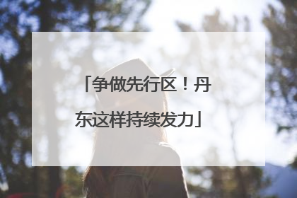 争做先行区！丹东这样持续发力