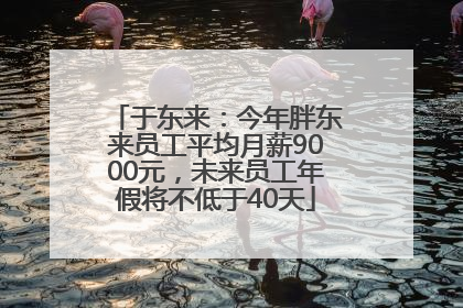 于东来：今年胖东来员工平均月薪9000元，未来员工年假将不低于40天
