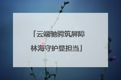 云端驰骋筑屏障 林海守护显担当