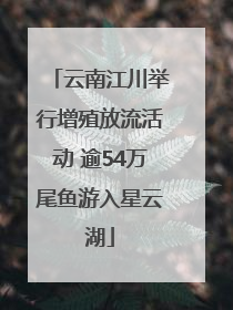 云南江川举行增殖放流活动 逾54万尾鱼游入星云湖