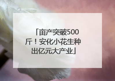 亩产突破500斤！安化小花生种出亿元大产业