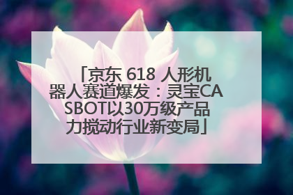京东 618 人形机器人赛道爆发：灵宝CASBOT以30万级产品力搅动行业新变局
