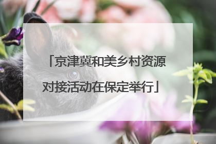京津冀和美乡村资源对接活动在保定举行