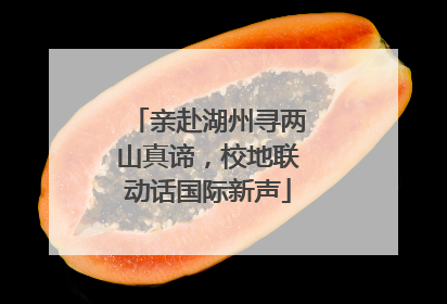 亲赴湖州寻两山真谛，校地联动话国际新声