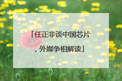 任正非谈中国芯片，外媒争相解读