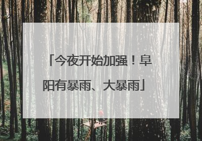 今夜开始加强！阜阳有暴雨、大暴雨